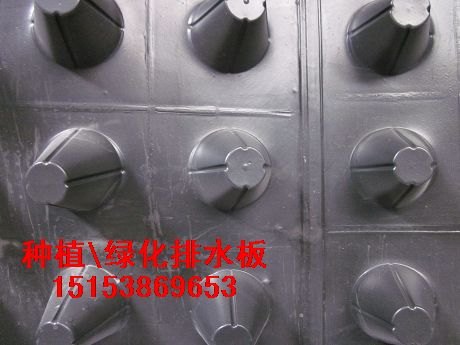 防根穿刺隔根板—空中花园排水板—塑料滤水板