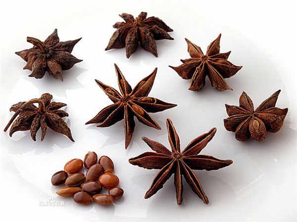 现货供应大茴香提取物