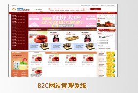 b2c 商城 