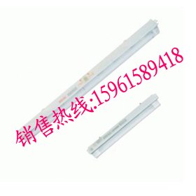 CYBY8920防爆荧光灯