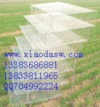 供应兔子笼鸽子笼狐狸笼鹌鹑笼鸡鸽兔笼铁丝笼子笼具五金