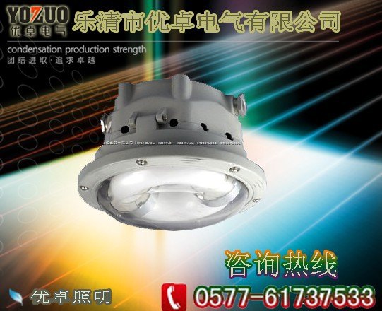 NFC9176长寿顶灯