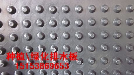 防根穿刺隔根板—空中花园排水板—塑料滤水板
