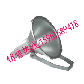 CYGT370分体式节能投光灯