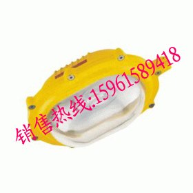 CYBF8780防爆泛光灯生产厂家