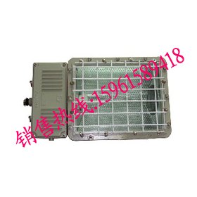 CYBF8980防爆泛光灯
