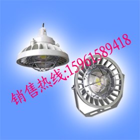 RSD5088-A系列LED防爆灯（10W、20W、30W）