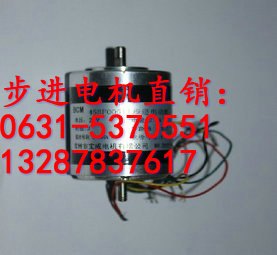 日照55BF003宝成步进电动机