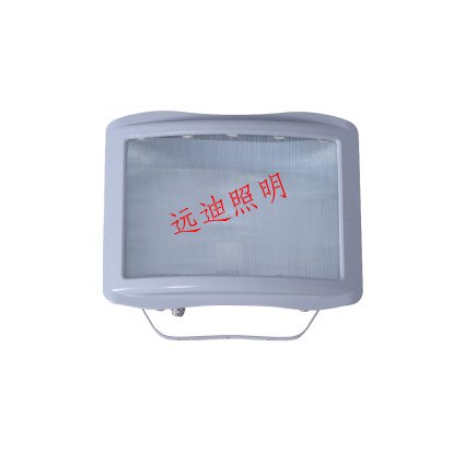 防眩路灯-防眩通道灯DNSC9720