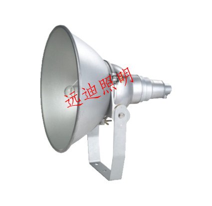 防爆型工作灯-防爆型投光灯DNTC9200