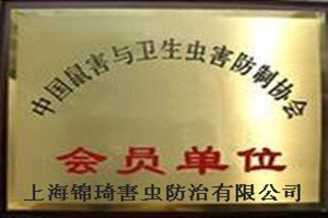 松江灭跳蚤-杀跳蚤公司/松江除跳蚤-杀蟑螂公司=杀老鼠公司\除虫