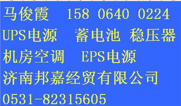 山东耐普UPS电源蓄电池日照总代理济南邦嘉