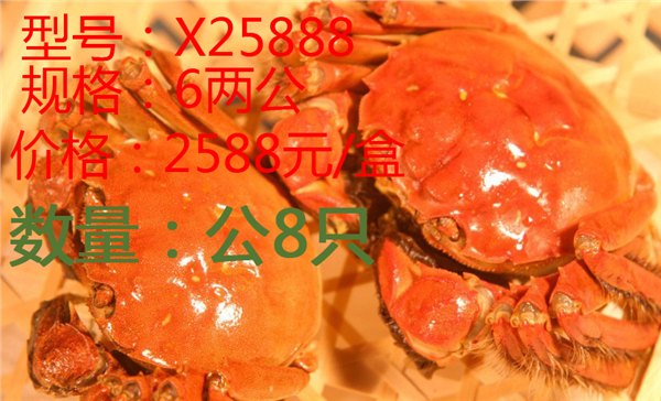 昆山九沐森阳澄湖大闸蟹X25888