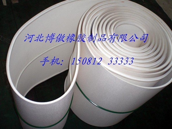 机械选型的合理则是保证其正常磨损的先决条件的博傲输送带