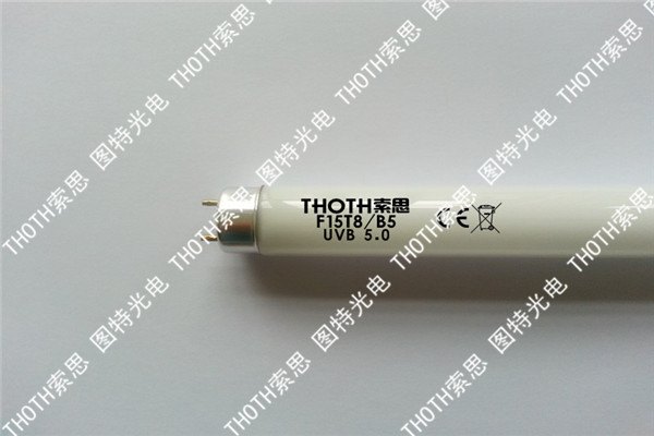 爬行动物补钙灯