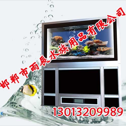 玻璃水族箱,玻璃水族箱厂家,玻璃水族箱价格,邯郸雨辰水族箱