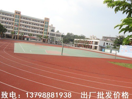 河源塑胶跑道哪个厂家最专业 