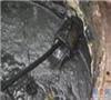 无锡市清洗管道网站:）无锡市包括废水池结污清理