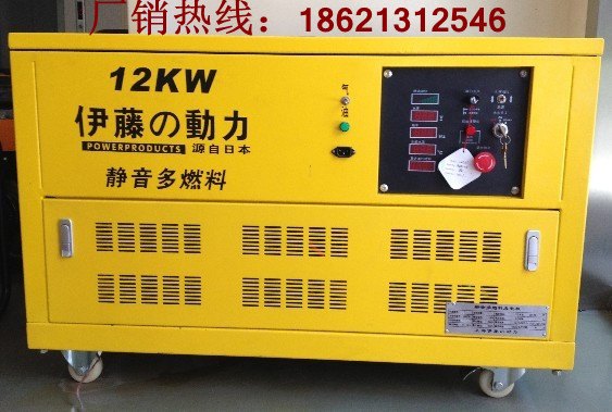 12千瓦双燃料发电机