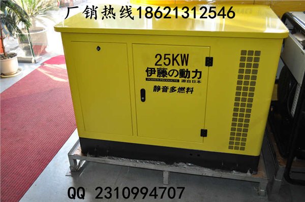 25千瓦双燃料发电机