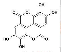 鞣花酸90% 南京报价