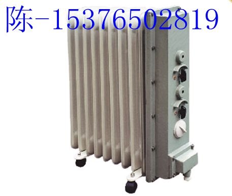 RB2000/127A矿用取暖器 