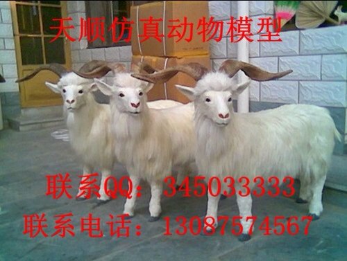 仿真山羊 真皮展示动物模型 仿真山羊标本