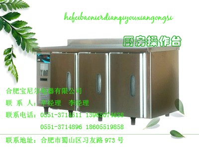 太原凉菜柜/丰台最高档的便利店保鲜陈列柜/贵港冷冻冷藏柜