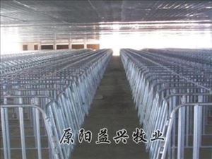 厂家直销母猪产床价格优惠 益兴牧业