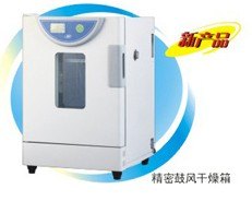 精密电热恒温鼓风干燥箱