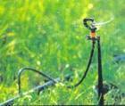 普通雾化微喷头价格|地插微喷|地插微喷安装