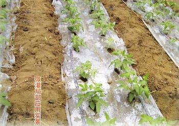盐城有卖滴灌带产品的吗