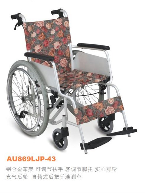 AU869LJP-43-topmedi-时尚轮椅