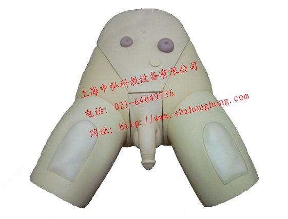 整体男性导尿模型 男性导尿模型 导尿模型 