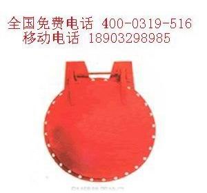 河北前进牌铸铁拍门