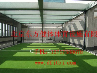 营口人造草草坪、营口人造草坪丝
