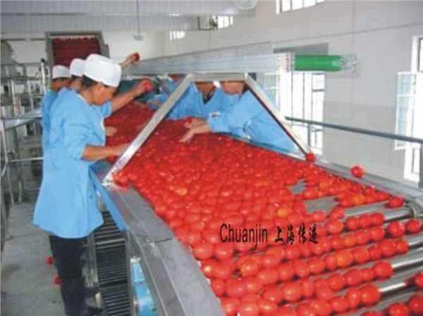 供应定做水果清洗机系列、样图加工
