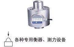 DHM14CD10-C3-40t-16B6-C数字称重传感器