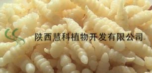 陕西慧科水苏糖