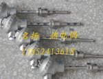 WRN-231热电偶