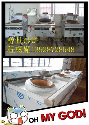 生物油蒸炉，环保油蒸炉，燃料油灶具厂家