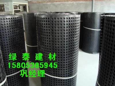 供应上海卷块状HDPE排水板制造商