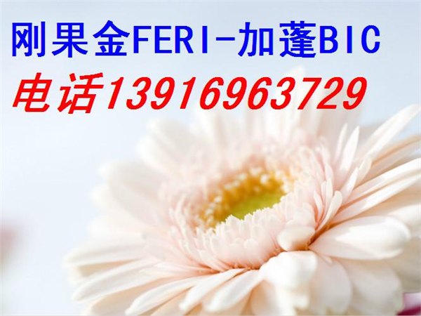 刚果金FERI