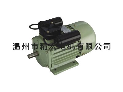 YL双值电容异步电机