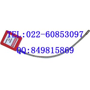 供应钢缆挂锁 BD-8441，钢缆锁具，缆式锁具