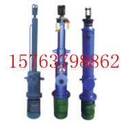万德电动液压推杆 DYTZ1000液压推杆 
