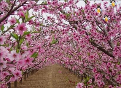 河口旅游好地方|宽甸河口旅游