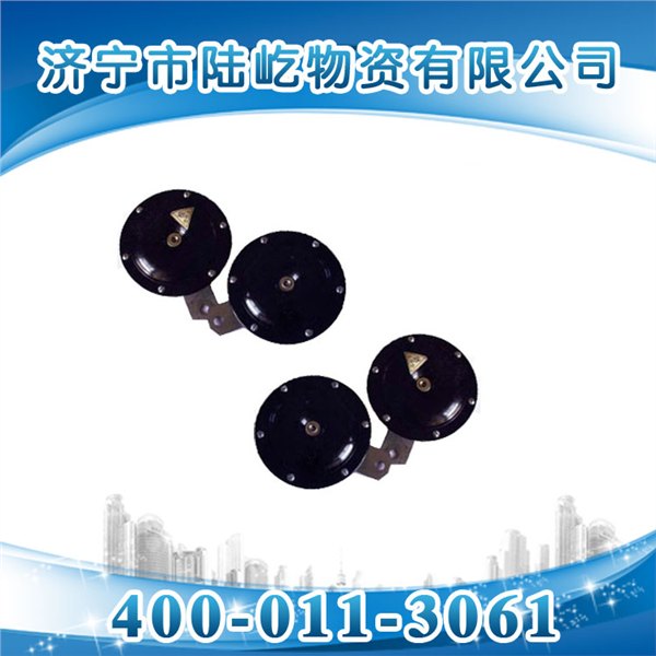 DLEC2本质安全型电子喇叭