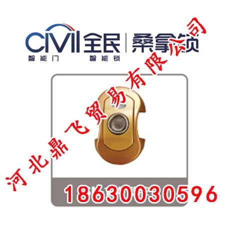 邯郸智能锁,智能锁价格,智能锁批发,全民智能锁业