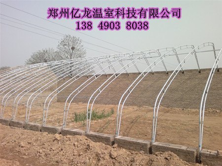 钢结构温室大棚造价 郑州钢架蔬菜温室大棚建设厂家